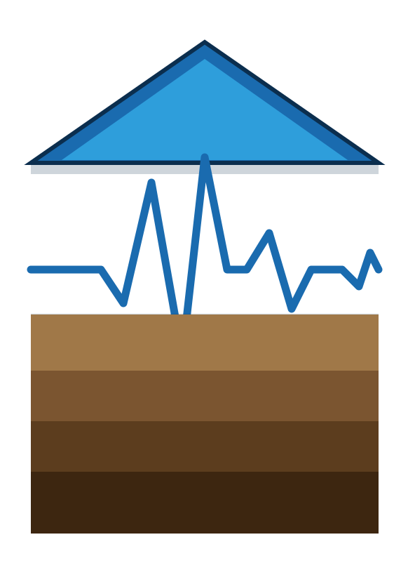 Raysense logo